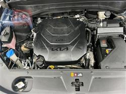 كيا تيلوريد